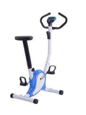 Blue Upright Cycling Bike 03235979227